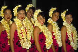 Hawaii_Blumen